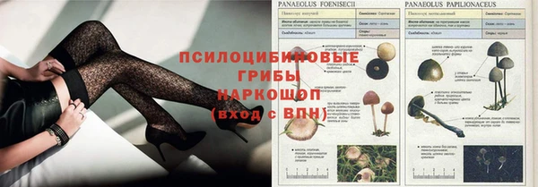 наркотики Гусев