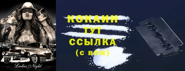 мяу мяу мука Гусь-Хрустальный