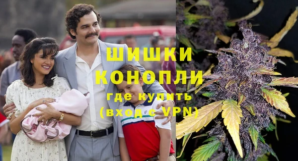 мяу мяу мука Гусь-Хрустальный
