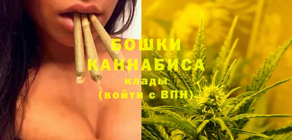 мяу мяу мука Гусь-Хрустальный